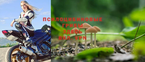эйфоретик Баксан