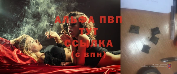 эйфоретик Баксан